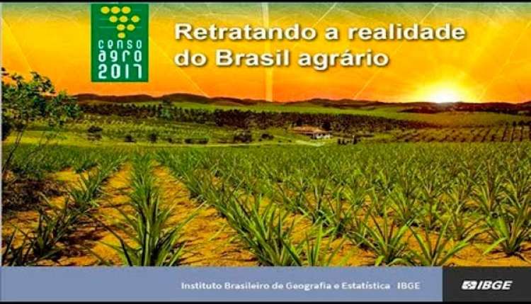 IBGE apresenta dados do Censo Agropecuário 2017