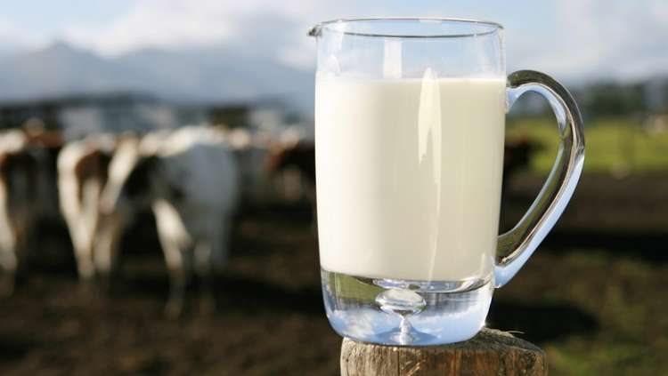 Cenário positivo para os produtores de leite