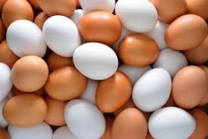 Países importadores de ovos comerciais in natura no primeiro bimestre de 2019