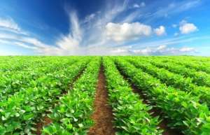 Efeito “moratória” na produção brasileira de soja