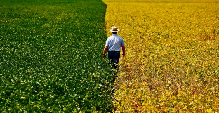 O agronegócio pode movimentar um trilhão de dólares em 2024