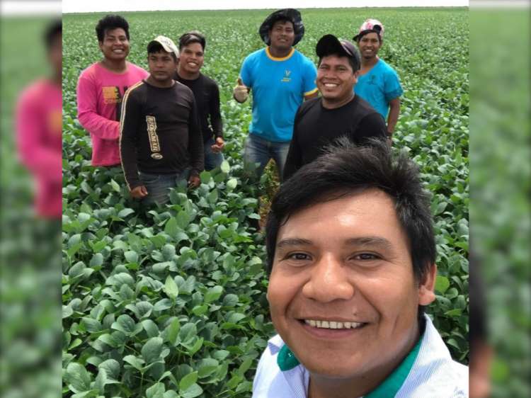 Indígenas plantam 10 mil hectares de grãos em Mato Grosso