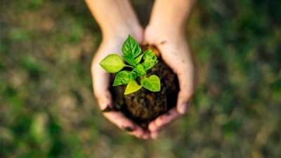 Sustentabilidade: o que estão pensando os europeus