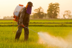 Evidências sobre 'carcinogenicidade' dos pesticidas diminuem