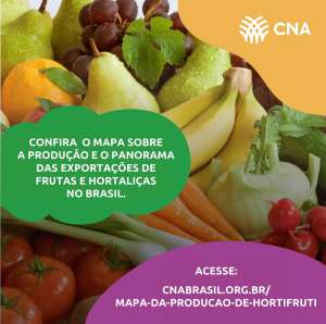Estudo da CNA mostra que região Sudeste corresponde a 40% da produção de hortifrúti no Brasil