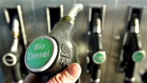Mistura de 11% de biodiesel no diesel deve ficar para 2° semestre