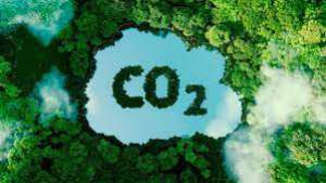 Reunião chave para regularizar mercado de carbono