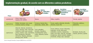 Rastreabilidade de vegetais frescos: FAESP indica os pontos que demandam mais atenção do produtor