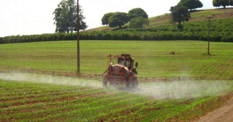 Agrotóxicos registrados têm pouca inovação