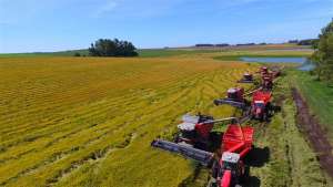 Nada está parado na agricultura brasileira, afirma professor da ESPM