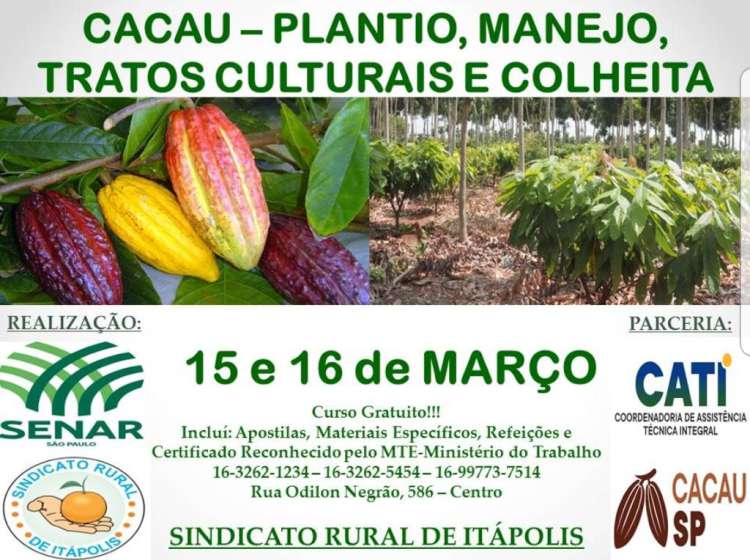 Itápolis.Dias 15 e 16 de Março tem Curso Gratuito: CACAU-Plantio, Manejo, Tratos Culturais e colheita.