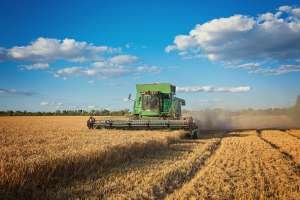 Como o agro contribui para o controle da inflação no Brasil