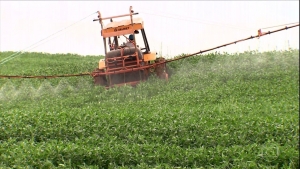 Programas reduzem uso de agrotóxicos e dano ambiental, e geram economia para produtor