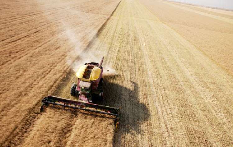 Agricultura brasileira tem um dos maiores índices de sustentabilidade do  mundo