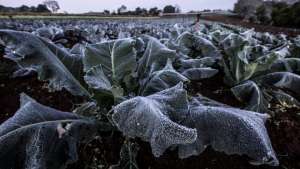 Massa de ar frio ganha força e vai derrubar temperaturas no Brasil