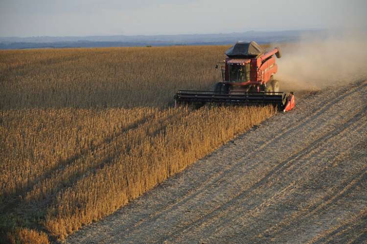 Brasil poderá exportar soja pelo Pacífico em até 3 anos