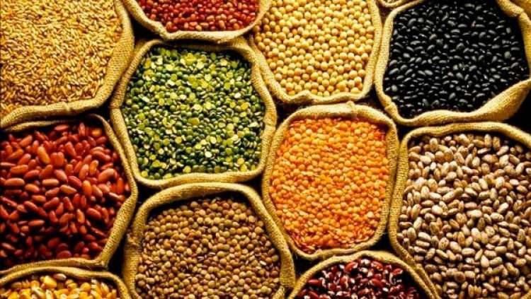 Cepea divulga tendências para o mercado Agro em 2020