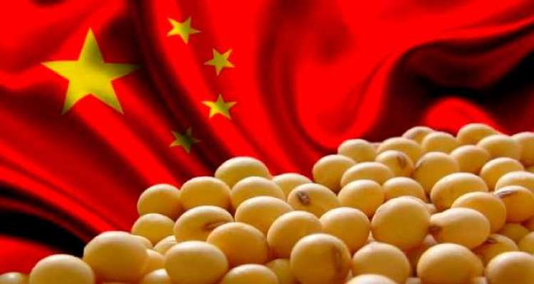 Coronavírus: demanda da China por soja e carne vai cair?