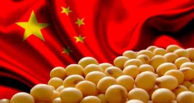 Coronavírus: demanda da China por soja e carne vai cair?