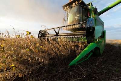 CEPEA: estudo mostra que exportações do agronegócio já são taxadas