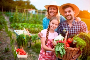 Agricultores familiares já podem utilizar os bônus do PGPAF deste mês