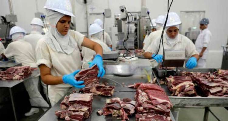 China aprova cinco unidades de carne suína do Brasil, mais cinco de bovinos e três de aves