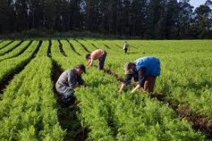 Ciclo de capacitações para agricultores familiares segue nesta semana