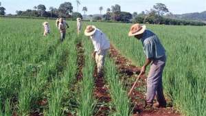 MT: população cresce devido ao agronegócio