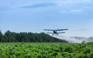 Justiça derruba suspensão de defensivos agrícolas