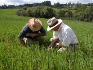 Agricultura familiar quer mais crédito e mudança na assistência técnica