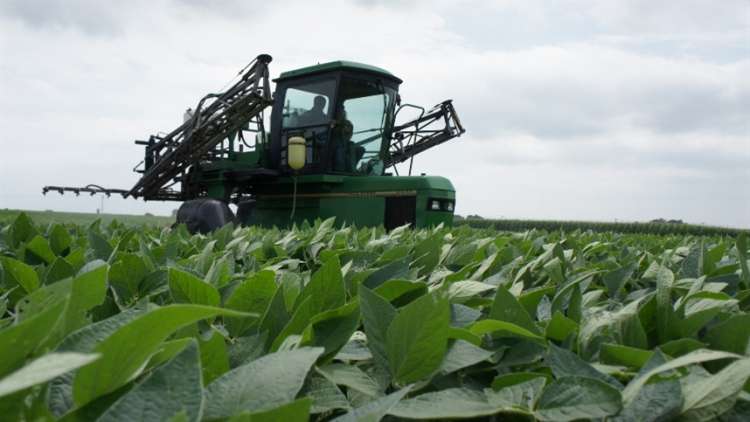 China aprova 21 formulações de pesticidas em agosto