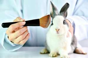 Produto cruelty free (livre de crueldade, em tradução livre) representa 11% do mercado de H&amp;B,com taxa de crescimento 61% maior que produtos classificados como não sustentáveis