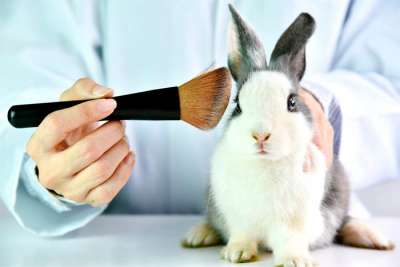 Produto cruelty free (livre de crueldade, em tradução livre) representa 11% do mercado de H&amp;B,com taxa de crescimento 61% maior que produtos classificados como não sustentáveis