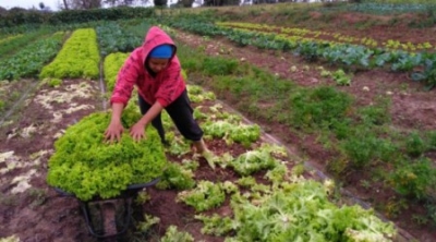 Prorrogação da validade da DAP beneficia milhares de pequenos produtores