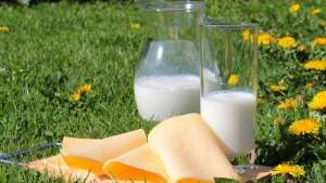 Produção de leite registra crescimento em 2023