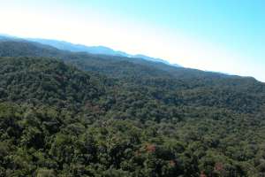 Núcleo Santa Virgínia do Parque Estadual da Serra do Mar, em São Luiz do Paraitinga, área focal do projeto Conexão Mata Atlântica