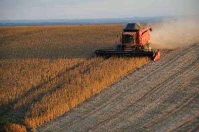 Teste encontra inconformidades em 31,9% dos fertilizantes em MT