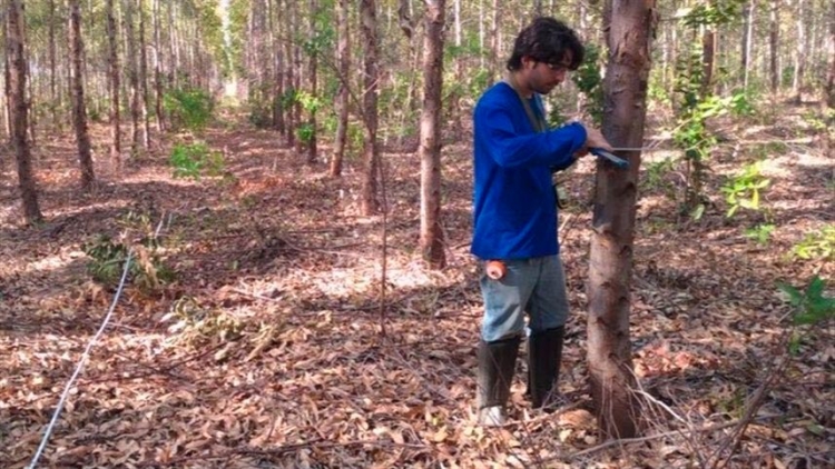 Descobertas mais 120 novas espécies de plantas em 2018