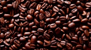 Exportações brasileiras de café voltaram a subir em 2018 com a safra recorde