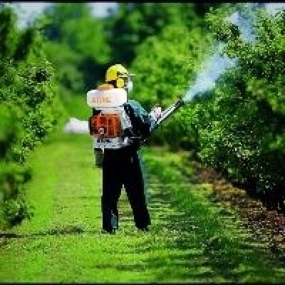 Japonesas investem em parceria no Brasil