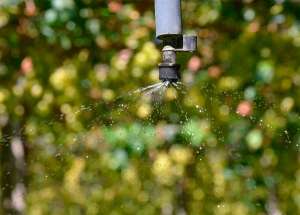 Subsídio para luz na irrigação esbarra no licenciamento