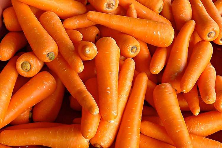 Cima reduz oferta da cenoura em abril