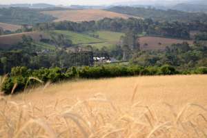 Produtor rural terá 180 dias para assinar o termo de compromisso ao Programa de Regularização Ambiental