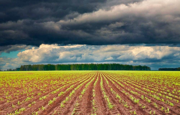 Verão no Brasil não terá influência do El Niño, prevê o climatologista LC Molion