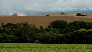 Seguro rural: Mapa vai criar zoneamento de risco por sistemas de produção, diz secretário