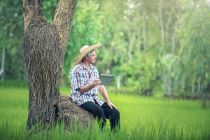 Conheça a startup de SC que dá consultoria virtual para agricultores