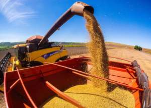 A agricultura brasileira deve fechar a colheita do próximo ano com recorde na safra de grãos 