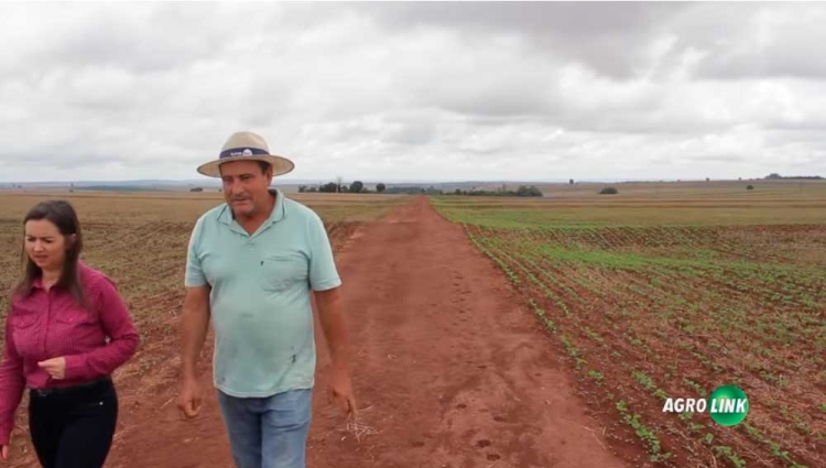 Biofertilizantes e aditivos biotecnológicos que contribuem com o aumento da produtividade agrícola