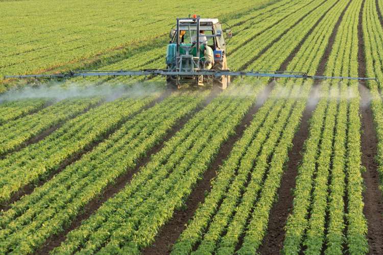 Rejeições de registros de pesticidas chega a 15%