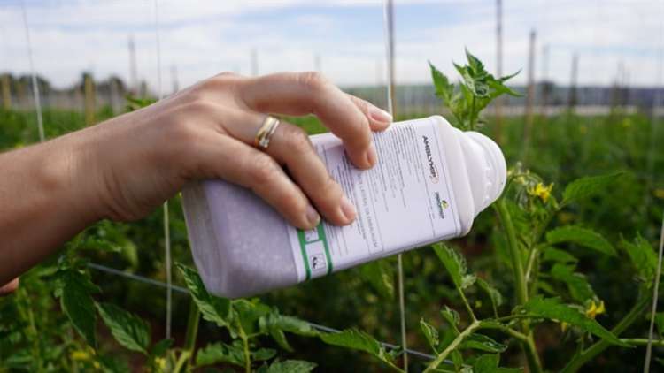 Bioinsumos movimentaram USD 330 milhões no Brasil